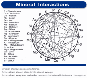 mineral interactions